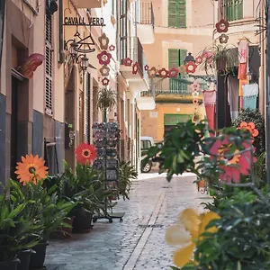 Hotel Ca's Cuscanti Sóller