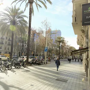 kiwidestiny-apartments-suites.catalonia-hotels.com/